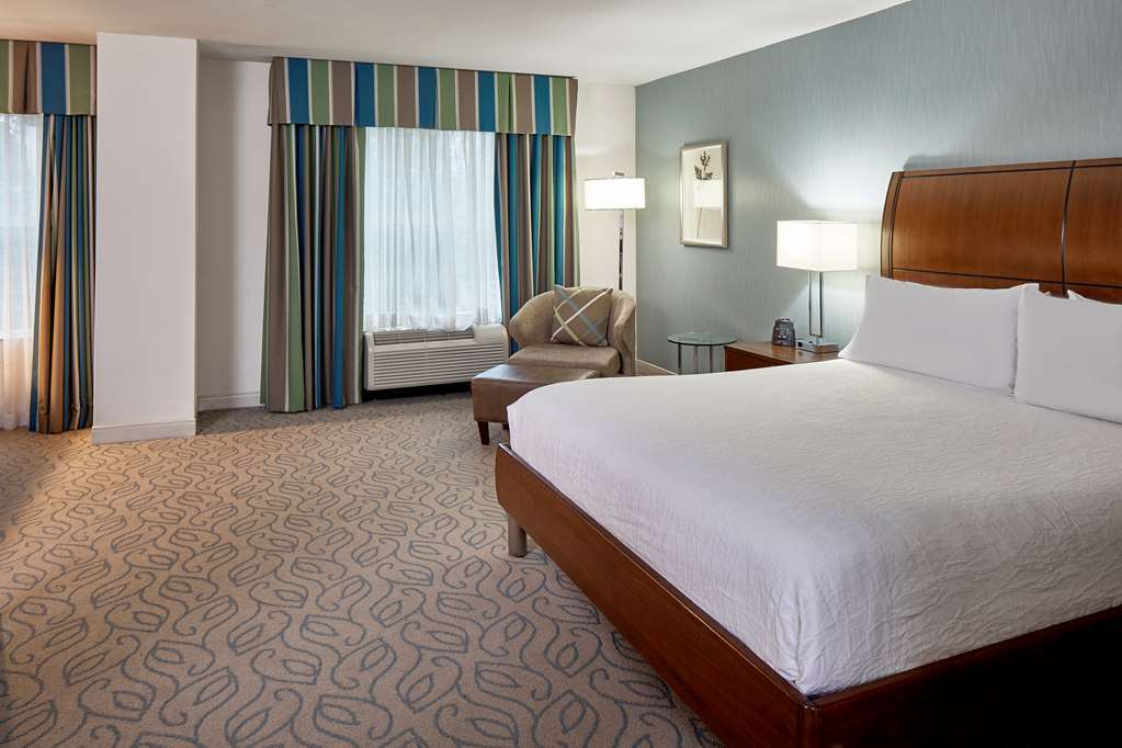 Hilton Garden Inn Atlanta Midtown Quarto foto